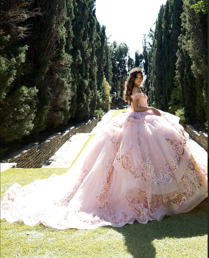 Long Train Embroidered Quince Dress. PQ1074 BY Bella couture