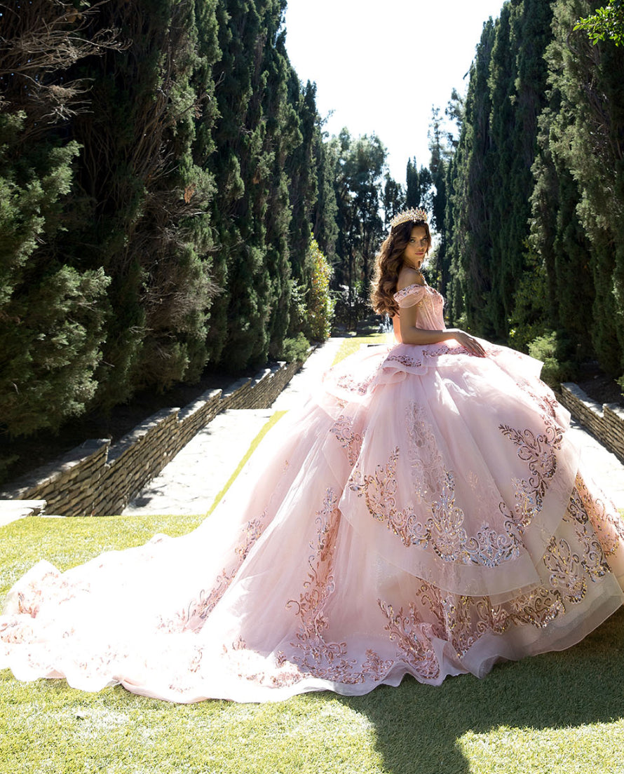 Long Train Embroidered Quince Dress. PQ1074 BY Bella couture