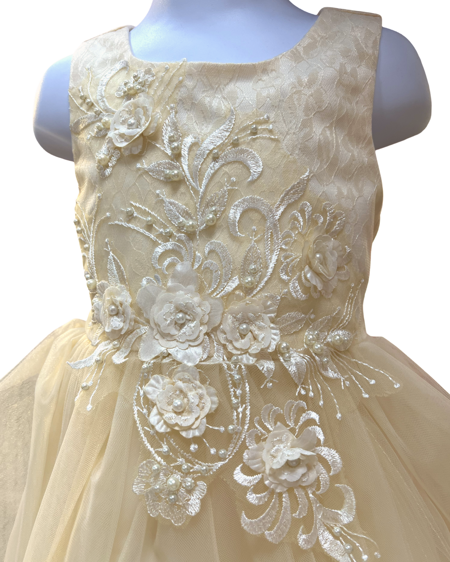 Super cute flower lace adorned with 3D flowers baby tulle dress. 6221 BY JOY KIDS