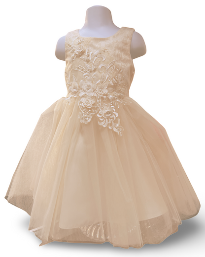 Super cute flower lace adorned with 3D flowers baby tulle dress. 6221 BY JOY KIDS