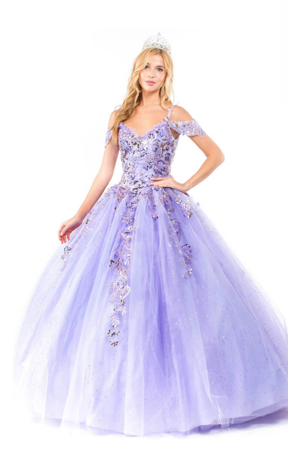 Embroidery Embellished Glitter Mesh Quinceanera Dress by Elizabeth K GL1969 (GLS COLLECTIVE)