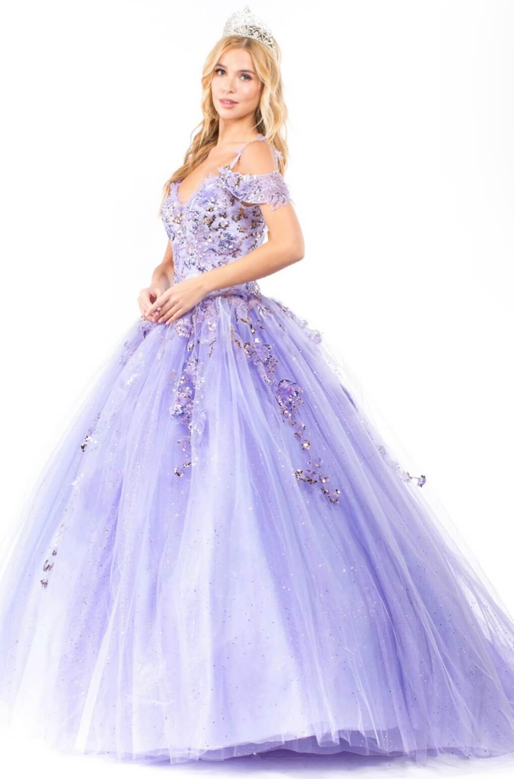 Embroidery Embellished Glitter Mesh Quinceanera Dress by Elizabeth K GL1969 (GLS COLLECTIVE)