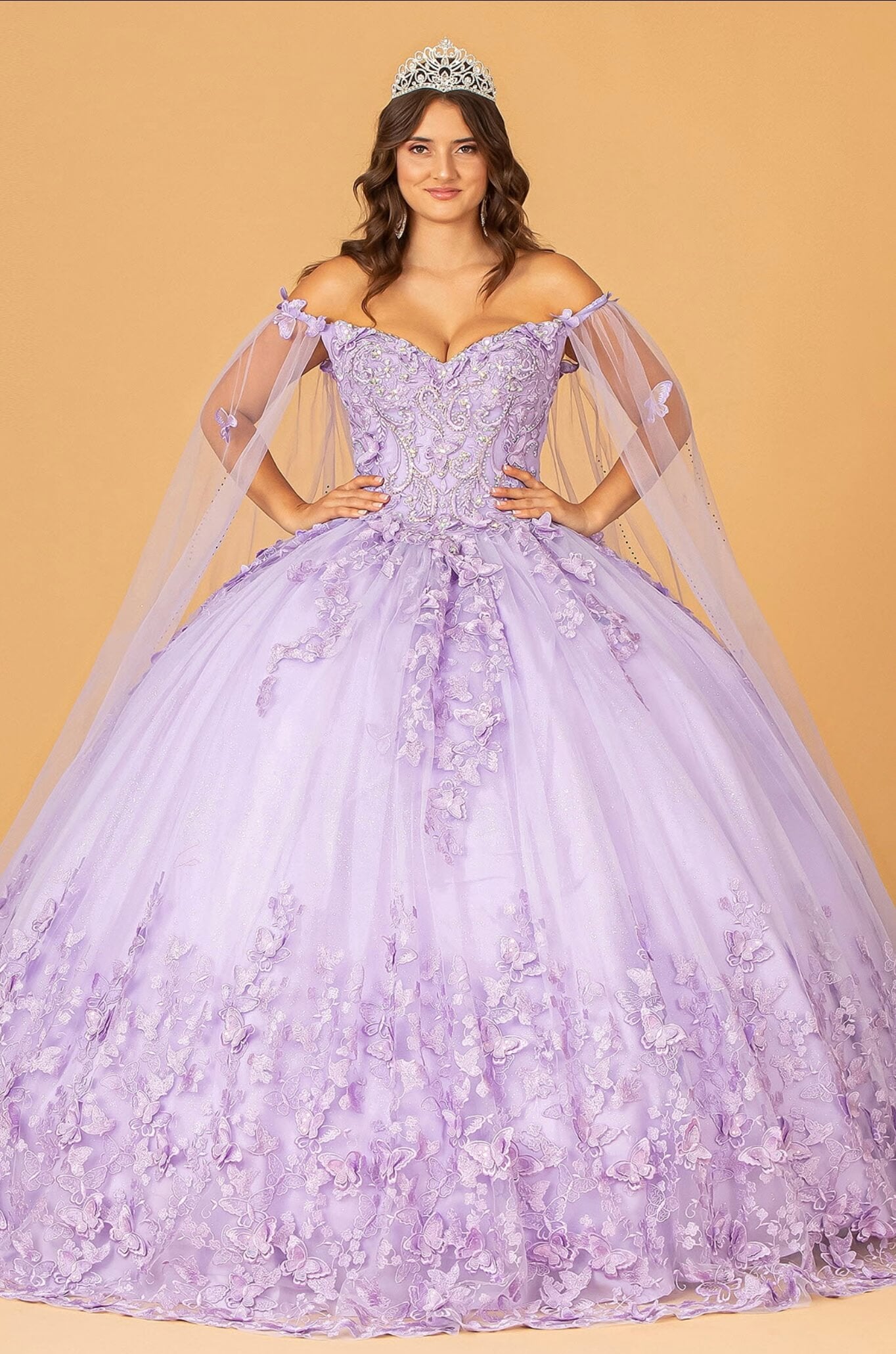 3D Butterfly Applique Glitter Quinceanera Gown w/ Long Mesh Layer by Elizabeth K GL3110 (GLS COLLECTIVE)