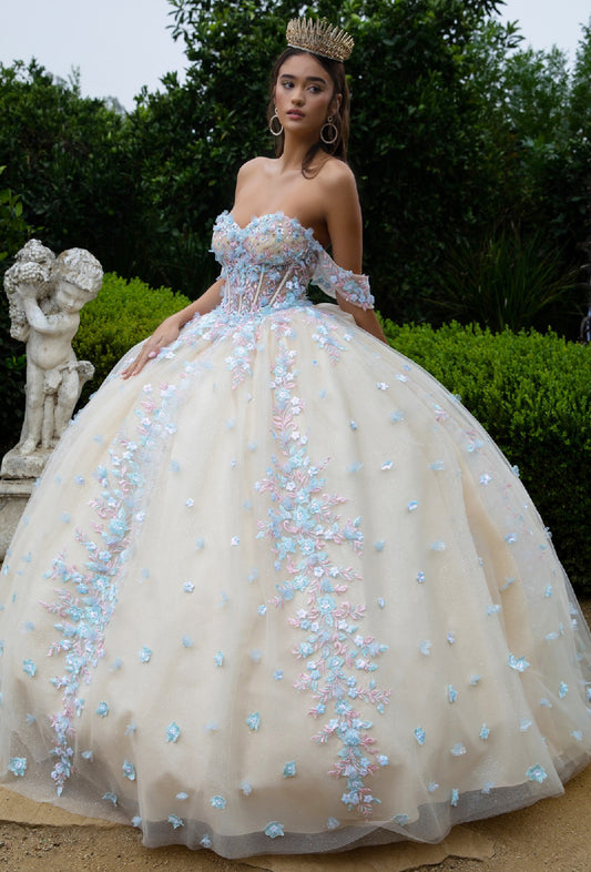 3D Floral Applique Embellished Sweetheart Sheer Bodice Quinceanera Dress. GL3504