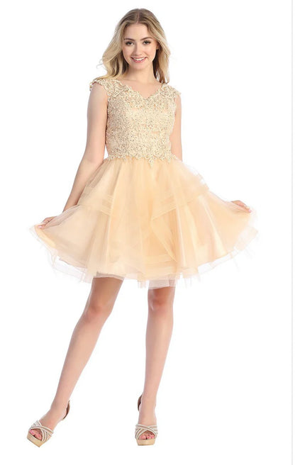 Short Beautiful Tulle, V-Neckline for Damas, and Homecoming. 6259-L by LETS.